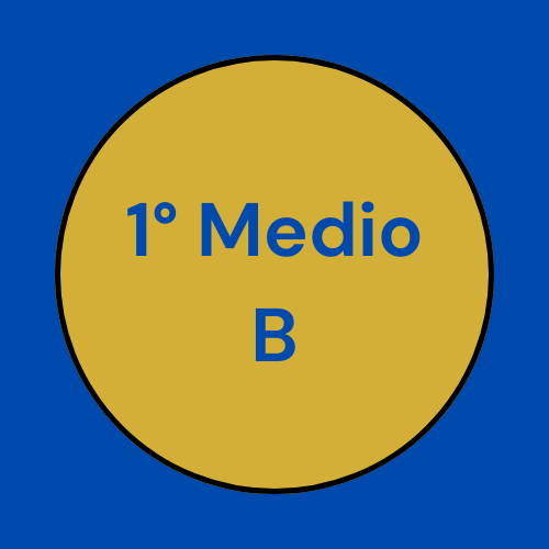 Directiva I° Medio B