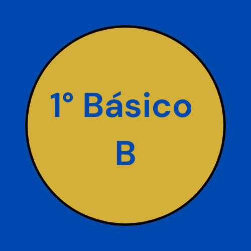 Directiva 1° Básico B